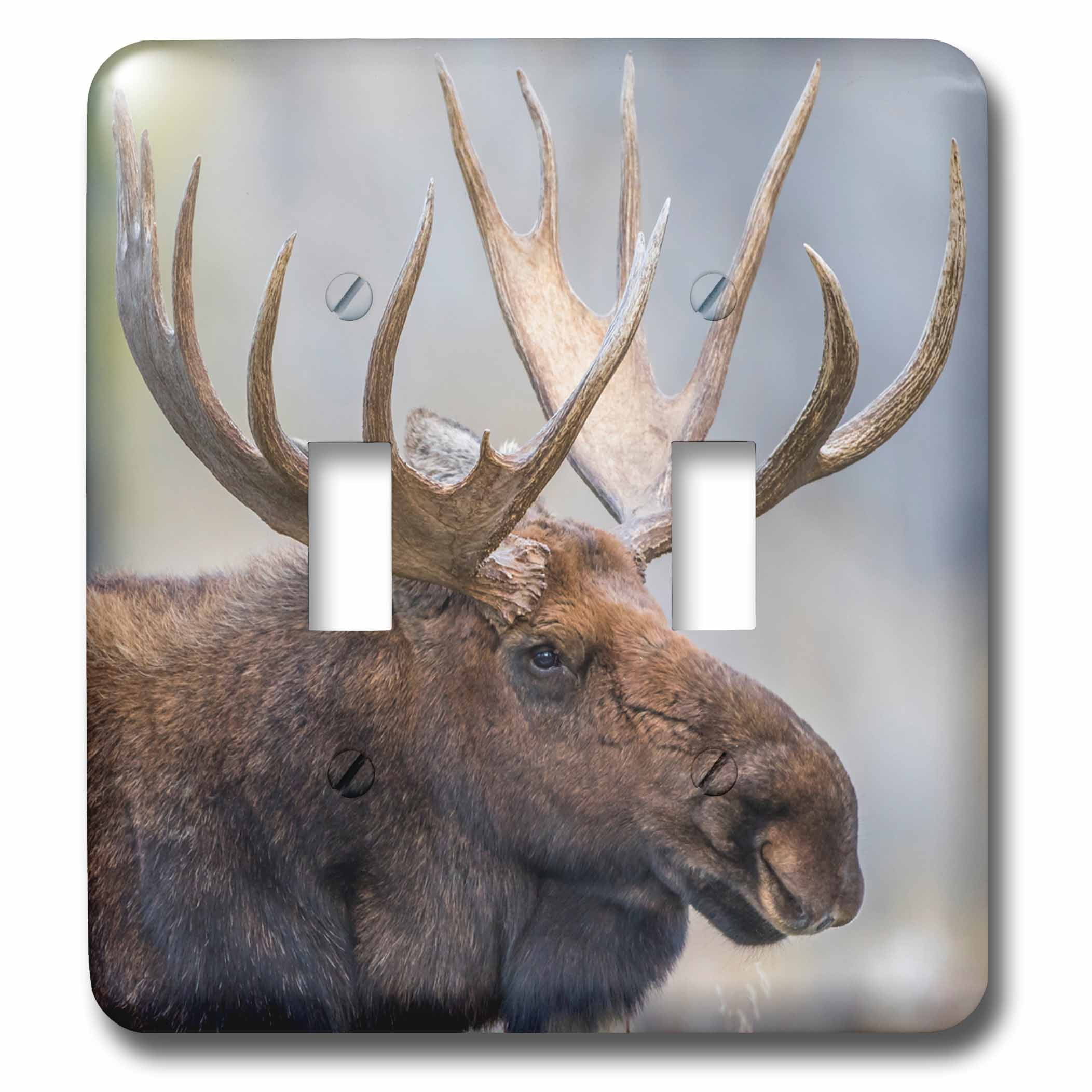 3drose Usa Wyoming Grand Teton Np Bull Moose Poses For A Portrait Double Toggle Switch Lsp 260628 2 Walmart Com Walmart Com
