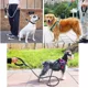 thumbnail image 2 of Correa Para Perro 200 Cm, 2 of 3