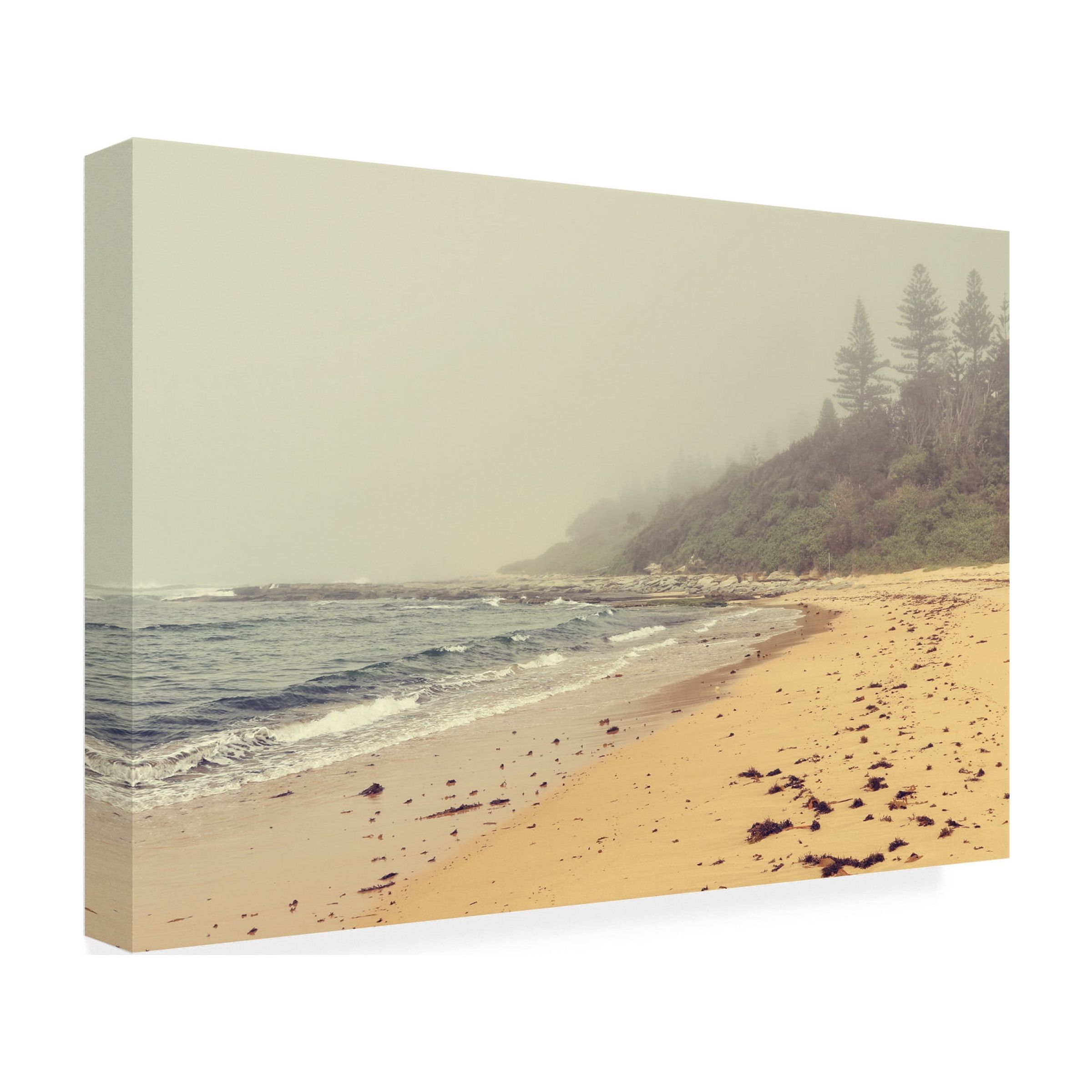 Trademark Fine Art 'BC Vintage Vibes at the Beach' Canvas Art by Beata Czyzowska Young