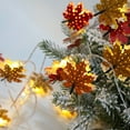 thumbnail image 5 of Dvumao Fall Decor, LED Five Color Maple Leaf Light String USB Warm White Light Thanksgiving Christmas Decoration Lights Party Decoration Christmas Tree Decoration, Women Gifts, 5 of 6