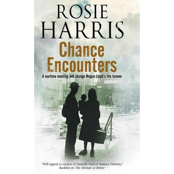 Chance Encounters (Hardcover)(Large Print)