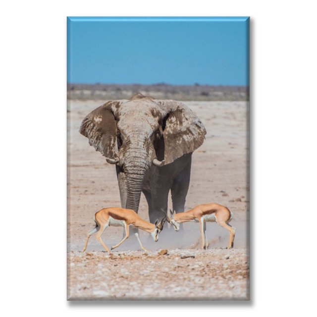 Cuadro Canva Pixtreats Tipo Galería Elefante Y Gacelas 60X90 cm