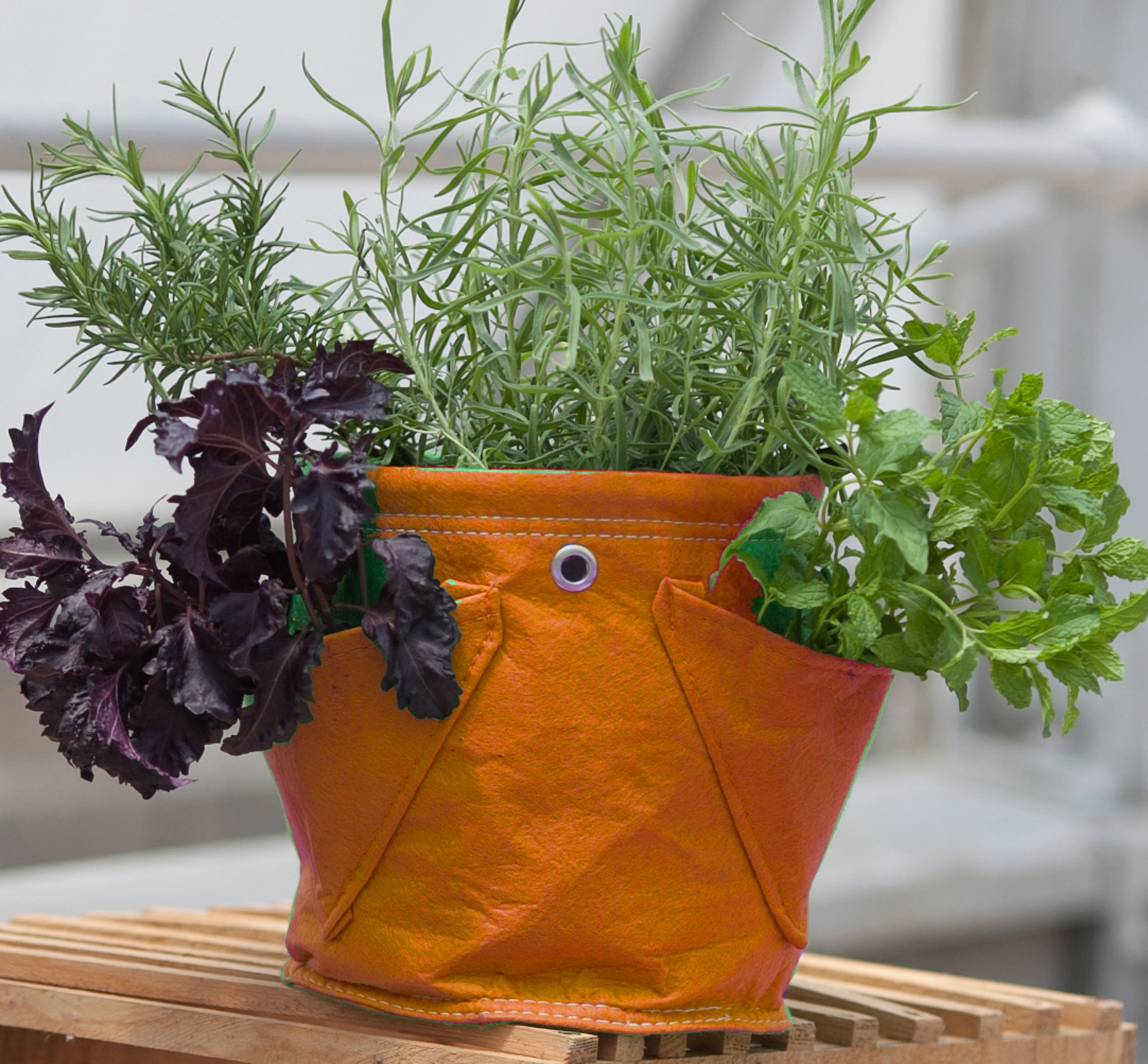 BloemBagz Mini Herb Hanging Planter Grow Bag 1.5 Gallon Tequila Sunrise