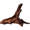 thumbnail image 3 of Blue Ribbon DW-LP Large Sea Sculptures Natural Malaysian Driftwood, 3 of 3