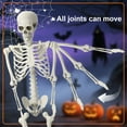 thumbnail image 4 of Cixusio 5.4Ft/165cm Halloween Skeleton Full Body Life Size Human Bones with Movable Joints for Indoor Outdoor Haunted House Party Halloween Props Decorations, 4 of 12