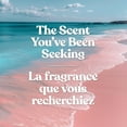 thumbnail image 4 of Bougie parfumée Yankee Candle Signature, bougie en pot format grand, 4 of 8