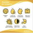 thumbnail image 3 of Suplemento de colágeno en polvo Entera Pharma 500g, 3 of 6