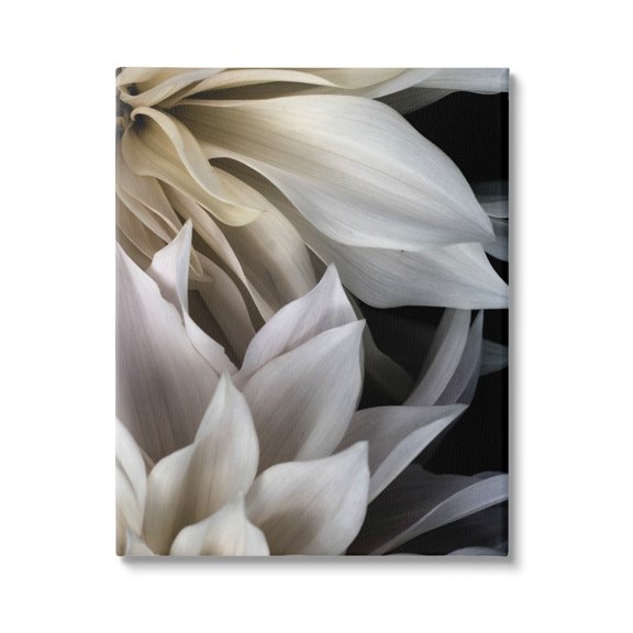 Stupell Industries Grey Dahlia Petals Botanical & Floral Photography Gallery Wrapped Canvas Print Wall Art, 16 x 20