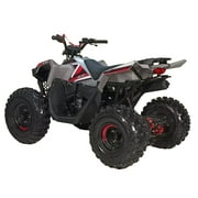 HHH 125cc ATV Quad 125cc ATV with Reverse, LED Lights, Big Wide Tires 4 Wheeler-Gray