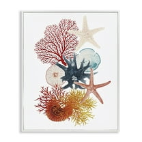 Stupell Industries Coral & Undersea Creatures Animals Painting White Framed Art Print Wall Art, 24 x 30