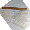 thumbnail image 3 of 30/60 piezas flores secas naturales Vhermosa ramo de boda phragmites communis decoración del hogar blanco, 3 of 7