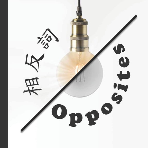 Opposites, (Paperback)