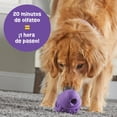 thumbnail image 4 of Juguete Dispensador de Treats Brightkins GNOME Grande sin BPA para Perros Ansiosos, 4 of 7