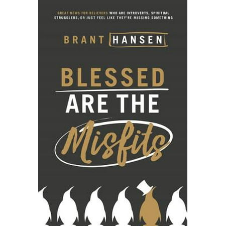 Blessed Are the Misfits : Great News for Believers Who Are Introverts, Spiritual Strugglers, or Just Feel Like They're Missing (Best Jobs For Introverts)