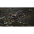 thumbnail image 4 of Metal Gear Solid Delta Snake Eater Xbox Series X Fisico, 4 of 6