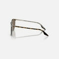 thumbnail image 5 of Sunglasses Ray-Ban RB 2204 139357 Havana On Transparent Polar Br, 5 of 5