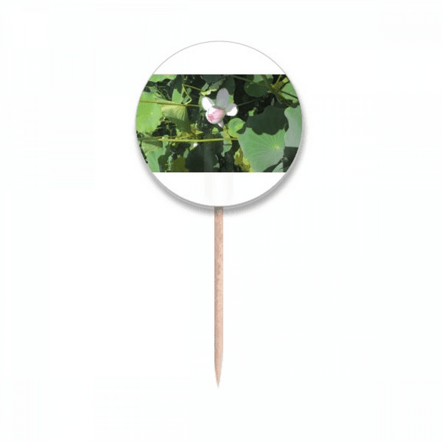 Lotus Drapeaux Cure-Dents Art Déco d'Été Étiquettes Rondes Décoration de Fête