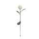 thumbnail image 1 of Lámpara Solar de Crisantemo En Forma de Bola, Led para Exteriores, para Decoración de Jardín., 1 of 2