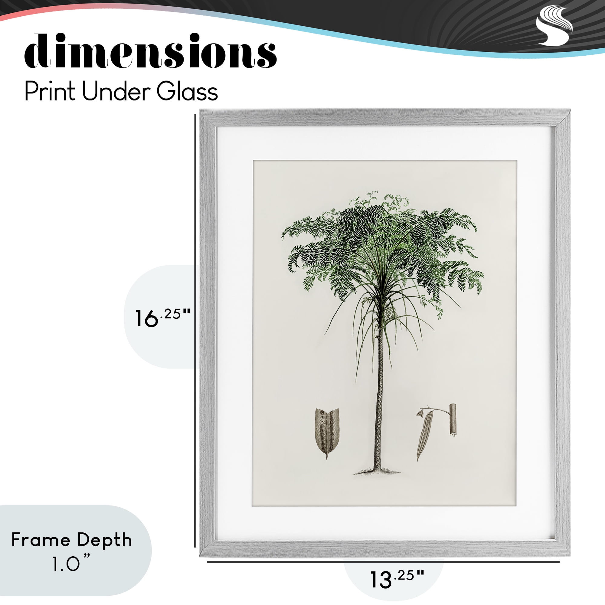 Stupell Industries Vintage Palm Leaves Gray Framed Print Under Glass, design by Val Rhodes