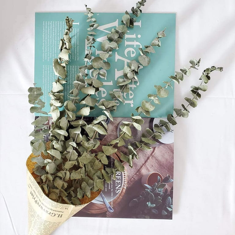 DIY Botanical Paper Leaves // Homeology - Pure Sweet Joy