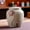 2, variant on Small Urn - Ceramic Adult Dog and Cat Cremation Urn, Miniature Memorial Funeral Urn for Sharing Ashes