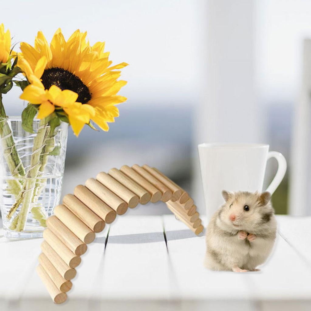 EHJRE 2x Hamster Bridge Pet Climb Parrot Stand Platform Toy Play Budgie