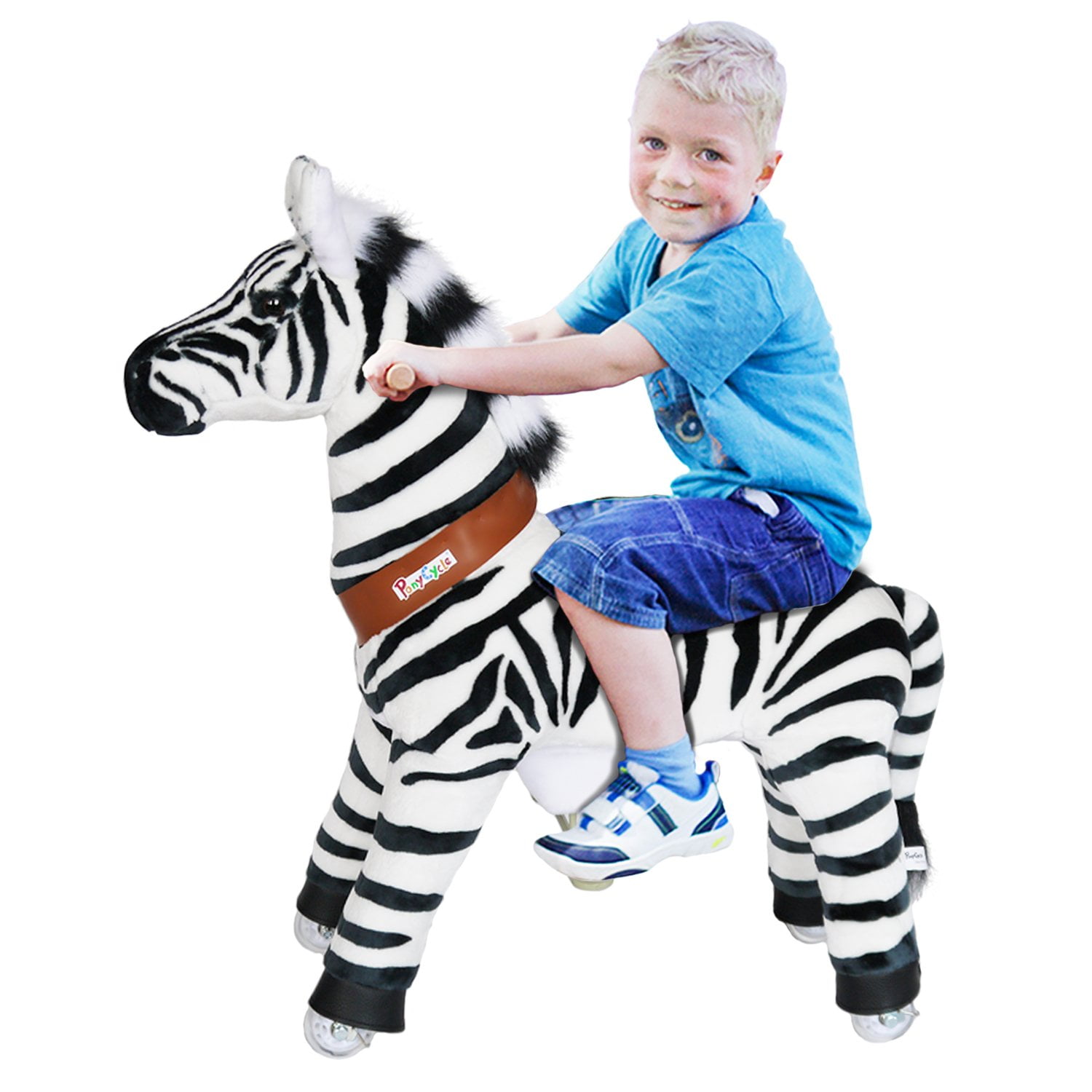 ponycycle zebra