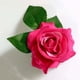thumbnail image 2 of KAKOWELY 3 horquillas de rosas hawaianas, broches de flores para fiestas, accesorio para hacer tú mismo, adorno para el cabello (rojo claro), 2 of 5