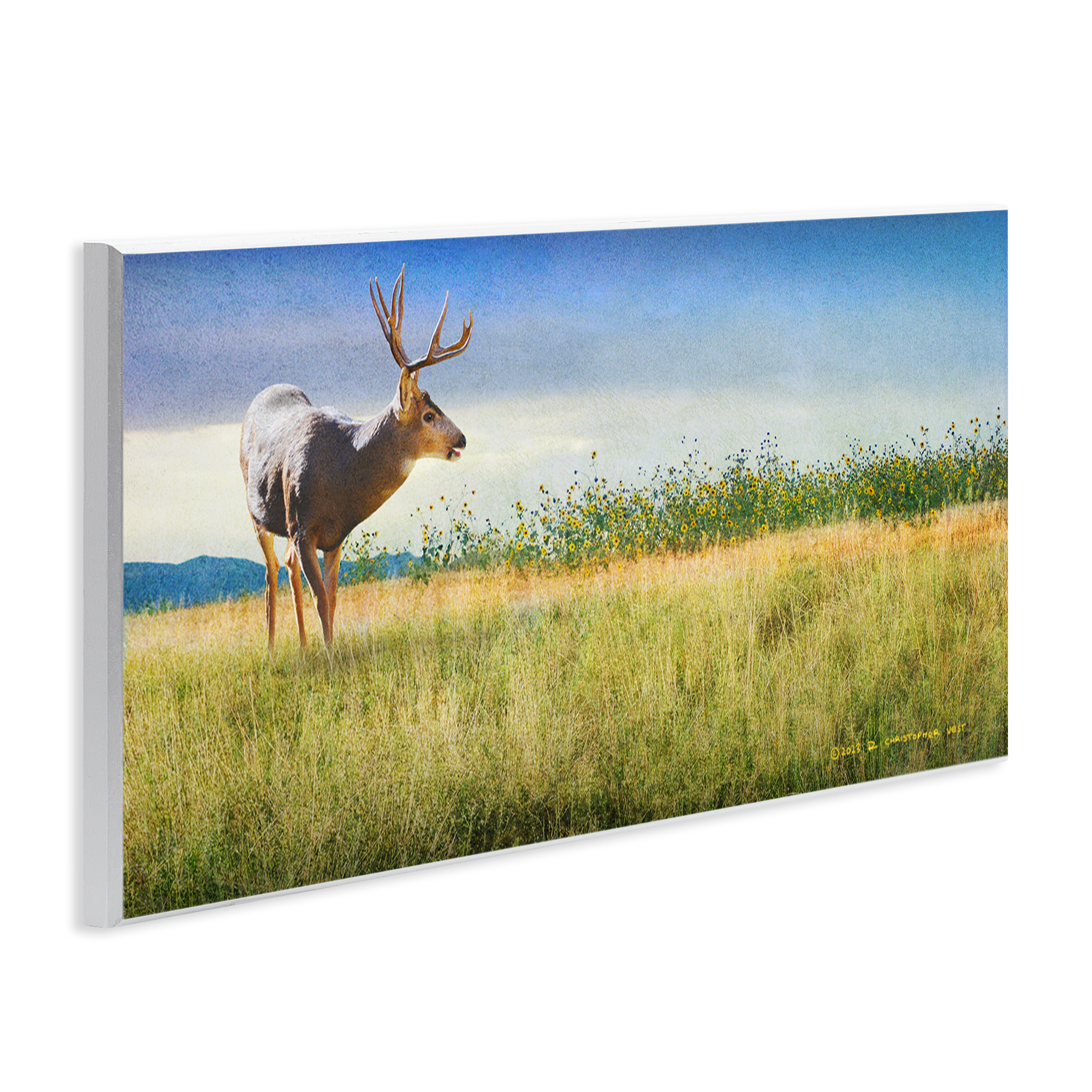 Stupell Industries Buck Deer in Field Landscape & Nature Photography Unframed Art Print Wall Art, 17 x 7