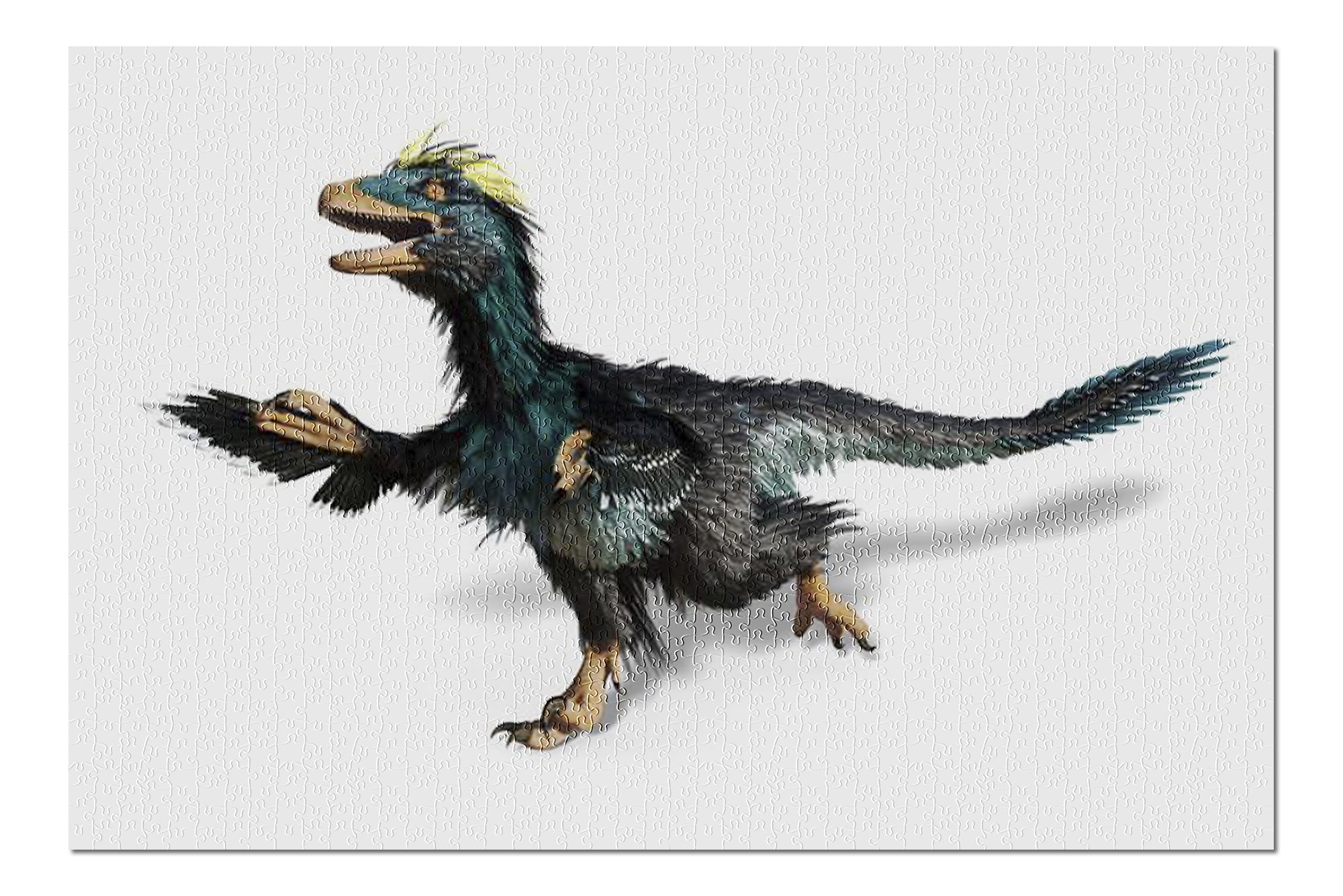 deinonychus feathers