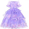 thumbnail image 1 of Vestido de princesa Isabela Mirabel, traje de Cosplay Floral de malla, ropa de Encanto para niña, Dolores, fiesta de carnaval, Vestidos para niños Fivean unisex, 1 of 2