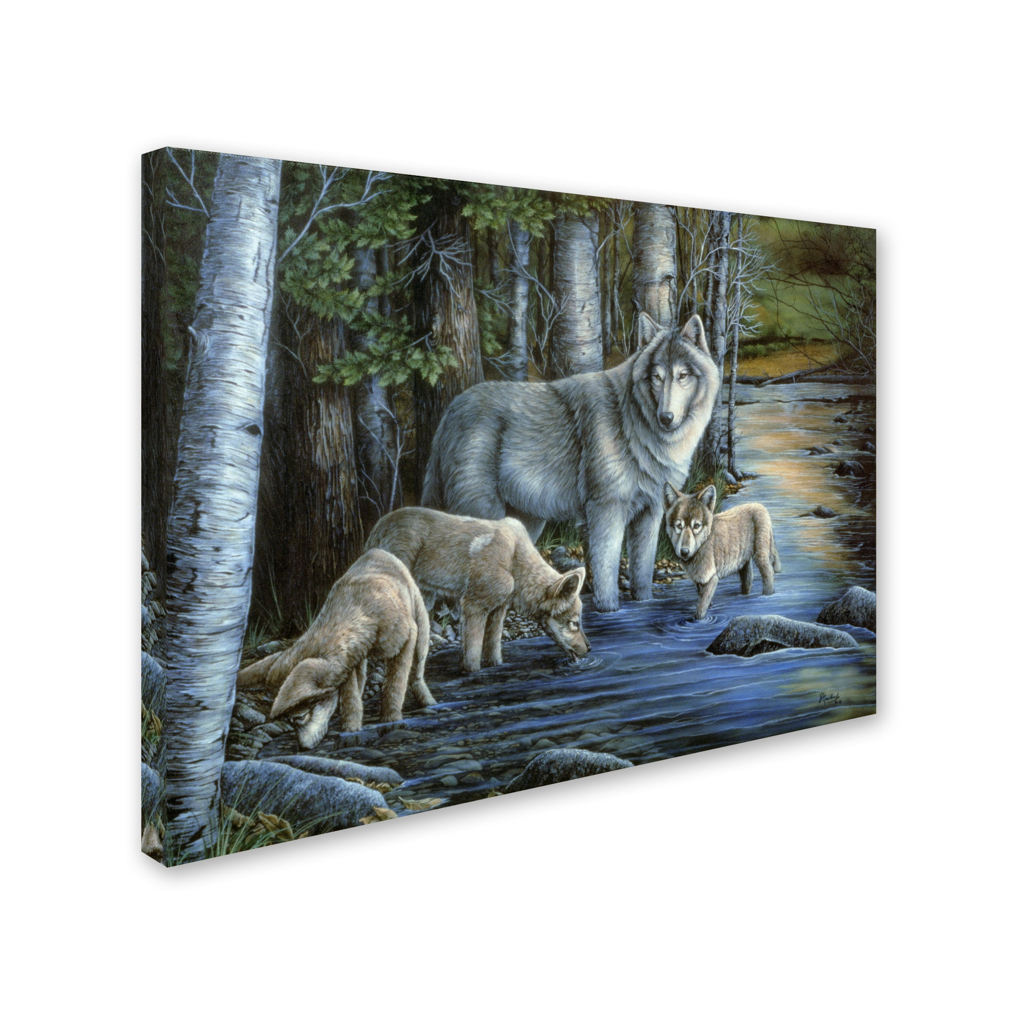 Trademark Fine Art 'Gentle Morning' Canvas Art by Jenny Newland