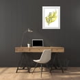 thumbnail image 3 of Vess, June Erica 25x32 White Modern Wood Framed Museum Art Print Titled - Citron Sea Kelp III, 3 of 4