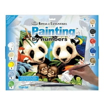 Junior Large Paint By Number Kit 15.25"X11.25"-Endangered Animals, Pk 4