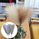 thumbnail image 4 of 3 piezas de hierba de pampas seca artificial para florero, arreglo floral, ramo de caña Gris, 4 of 8