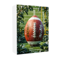 thumbnail image 2 of Easter Rugby Advent Calendar Christmas Christmas Toys Countdown 24 Days Of Advent Set Celebrate Advent Calendar(2D Acrylic Pendant) 9 Interval Clock Timer Two Minute Toothbrush Timer Large Digital, 2 of 9