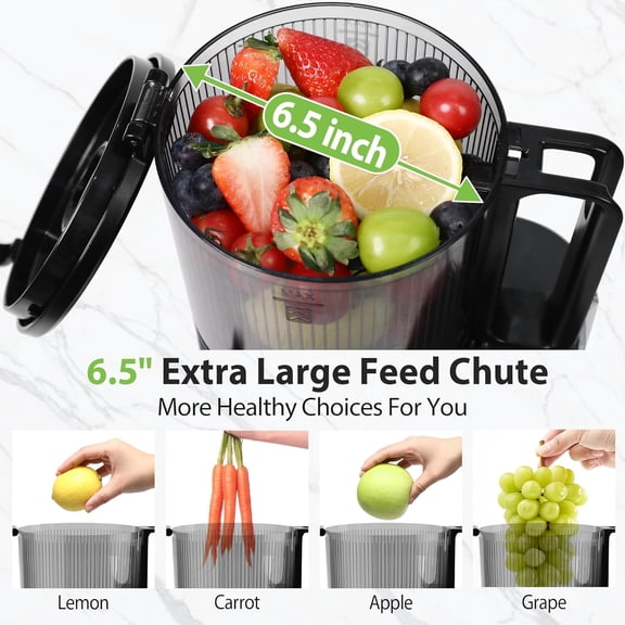 Cold Press Juicer, 6.5" Extra Large Feed Chute Juicer Machines, 350W Slow Masticating Juicer Machines with High Juice Yield for Whole Vegetables & Fruits, , Black, Easy to Clean