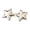 silver, variant on No Punch Little Star Waist Buckle Alloy Pants Adjuster for Jeans