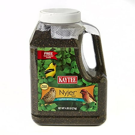 - Nyjer Bird Seed Jug w/ Sock Feeder Attracts Finches & Buntings 4.65lbs by Kaytee