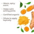 thumbnail image 7 of Plant Therapy Turmeric Organic CO2 Extract 100 mL (3.3 oz) 100% Pure, Undiluted, Therapeutic Grade, 7 of 7