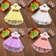thumbnail image 2 of Newborn Girls Tutu Skirt Sleeveless Floral Ruched Princess Party Dress Summer Outfits, 2 of 6