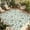 Green, variant on Dark Green Leaves Outdoor Rug for Patio/Deck/Porch, Non-Slip Large Area Rug 4 x 6 Ft, Pastoral Watercolor Botanical Plant Indoor Outdoor Rugs Washable Area Rugs, Reversible Camping Rug Carpet Runner