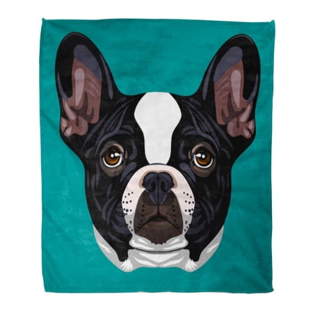 ASHLEIGH Throw Blanket 58x80 Inches Boston Portrait of French Bulldog Terrier Beauty Black Boxer Bull Canine Warm Flannel Soft Blanket for Couch Sofa Bed