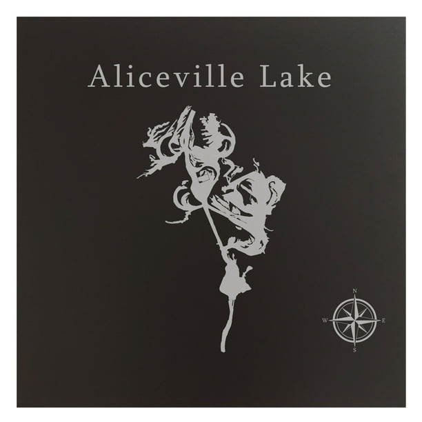 Aliceville Lake Map 24x24" Black Metal Wall Art Office Decor Gift