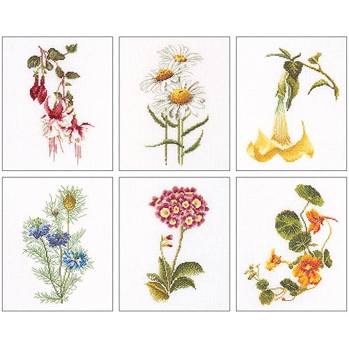 Thea Gouverneur Counted Cross-Stitch Kits, Floral Studies 4, Set of 6