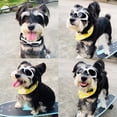 thumbnail image 2 of Gafas para perros Gafas de sol ultravioletas para perros de raza pequeña Gafas para perros a prueba de viento y nieve, 2 of 3