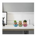 thumbnail image 3 of 6 piezas de macetas de plantas suculentas, Mini búho, maceta de cerámica para flores, bonsái en maceta, regalo de Cactus, decoración de ventanas para mesa de oficina en casa brillar Electrónica, 3 of 5