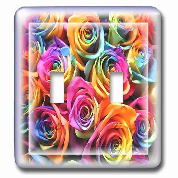 3dRose, Rainbow Colored Roses, double toggle switch
