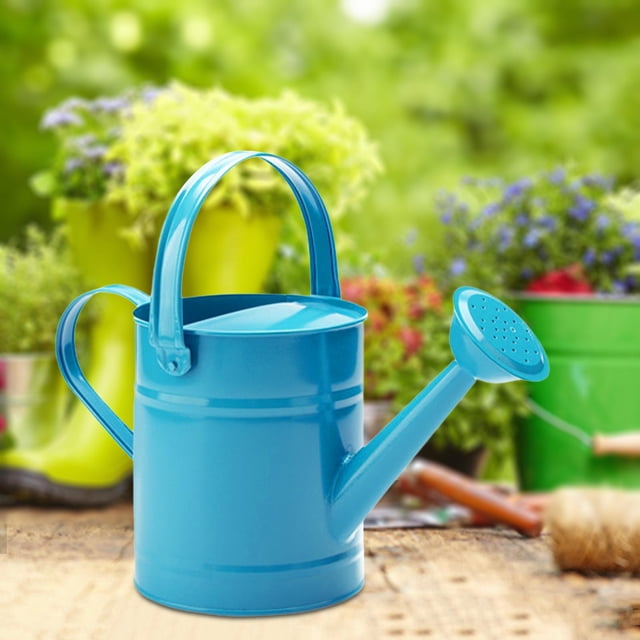 Regadera para plantas perfecl 1,5 l Mango antideslizante Azul