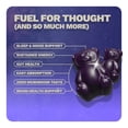 thumbnail image 4 of (2 pack) Nütrops Nootropic Sugar Free Mushroom Gummies with Lion's Mane, Cordyceps, & Reishi - Functional Mushrooms & Adaptogens to Support Brain Health, Caffeine-Free, Lemon Clouds Flavor, 12 count, 4 of 9